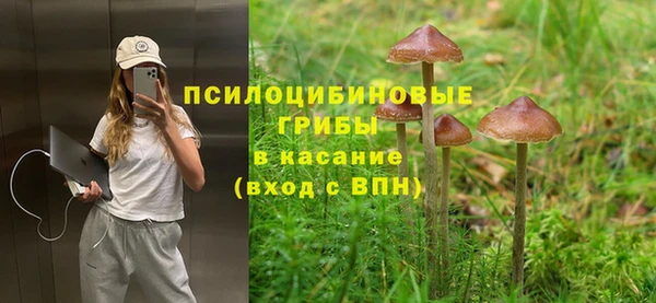 каннабис Алзамай