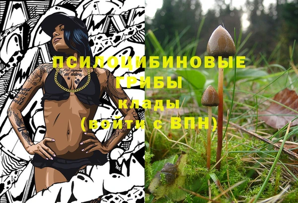 mdpv Алексеевка